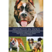 Arthritis in Dogs: A Comprehensive Guide to Arthritis in Dogs