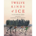 Twelve Kinds of Ice