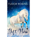Gift Horse: An all-ages, horsey, holiday novella