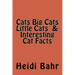 Cats Big Cats Little Cats & Interesting Cat Facts: Cats Big Cats Little Cats & Interesting Cat Facts