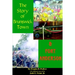 The Story of Brunswick & Fort Anderson