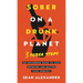 Sober On A Drunk Planet: 3 Sober Steps. An Uncommon Guide To Stop Drinking and Master Your Sobriety