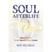 Soul Afterlife: Beyond the Near-Death Experience