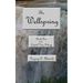 The Wellspring: Book One of the Crystal Key Trilogy