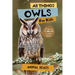 All Things Owls For Kids: Filled With Plenty of Facts, Photos, and Fun to Learn all About Owls