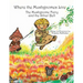 Where the Mushgnomes Live - the Mushgnome Fairy and the Silver Bell