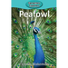 Peafowl