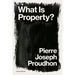 What is Property?: Property is Theft!