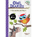 Eva and the Lost Pony: A Branches Book (Owl Diaries #8): Volume 8
