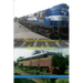 Diesel Locomotives of Indian Railways