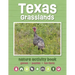 Texas Grasslands Nature Activity Book