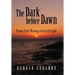 The Dark Before Dawn: From Civil Wrongs to Civil Light