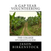 A Gap Year Volunteering: The College Student's Guide