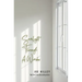 Sunlight Through A Window