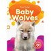Baby Wolves