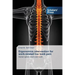 Ergonomics intervention for work-related low back pain