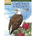 State Birds and Flowers Coloring Book
