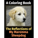 The Reflections of My Maremma Sheepdog: A Coloring Book