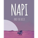 NAPI and The Rock: Level 2 Reader