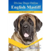 English Mastiff