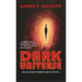 Dark Universe