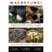 Macrofungi Associated with Oaks of Eastern North America