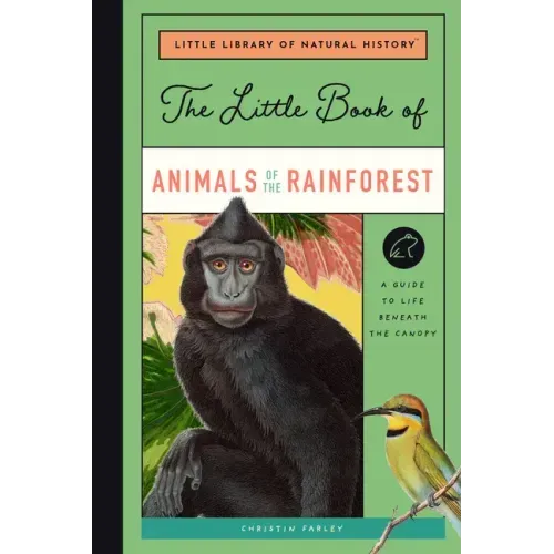 The Little Book of Animals of the Rainforest: A Guide to Life in Earth's Most Diverse Ecosystem