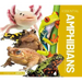 Essential Amphibians