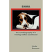The Autobiography of a Treeing Walker Coonhound: Emma