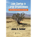Lean Startup in Large Organizations: Overcoming Resistance to Innovation