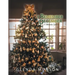 I Remember December: 31 Memory Stories