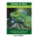 Iguana as Pets: Iguanas General Info, Purchasing, Care, Cost, Keeping, Health, Supplies, Food, Breeding and More Included! The Ultimat