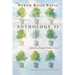 The Powow River Poets Anthology II