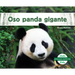 Oso Panda Gigante (Giant Panda)