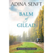 Balm of Gilead: Amish Romance