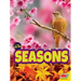 Seasons