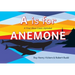A is for Anemone: A First West Coast Alphabet