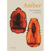 Amber: From Antiquity to Eternity