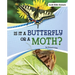 Is It a Butterfly or a Moth?