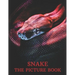 Snake: The Picture Book of Amazing Snake for Snake Lovers, Seniors, Dementia, and Alzheimer's.