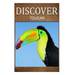 Toucan - Discover: Early reader's wildlife photography book