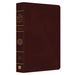 Study Bible-KJV
