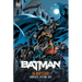 Batman: No Man's Land Omnibus Vol. 1