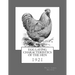 Egg Laying Characteristics of the Hen: 1921