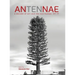 Antennae 10: A Decade of Art and the Non-Human 07-17