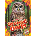Spotted Owls