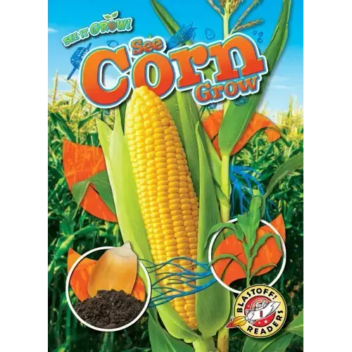 See Corn Grow