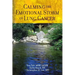 Calming The Emotional Storm of Lung Cancer