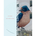 City Bird and Other Poems: City Lights Spotlight Series No 24