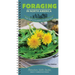 Foraging in North America: The Top 12 Plants to Seek Out